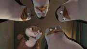 L-R: Rico, Marlene, Kowalski, Skipper, Private