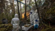 Die Polizei entdeckt eine Frauenleiche im Wald.