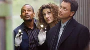 Dr. Sheldon Hawkes (Hill Harper, li.), Stella Bonasera (Melina Kanakaredes) und Mac Taylor (Gary Sinise, re.) machen eine interessante Entdeckung.
