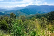 Blick auf die australische Landschaft bei Cairns, Australien.