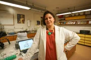 Dr. Kristina Killgrove - Bioarchaeologist - pictured in a lab at The University of South Florida, looking at the blueprint of the Oplontis Villas
