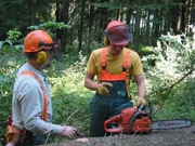 Willi Weitzel (rechts) bekommt die Grundlagen der Holzfällerei erklärt und darf helfen, eine Fichte zu fällen.