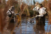 Die Such- und Rettungsmannschaften suchen in den sumpfigen Gewässern der Florida Everglades nach Hinweisen.