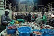 Mariana van Zeller and Peter watching men sort their catch.