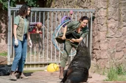 Dr. Susanne Mertens (Elisabeth Lanz, r.) und ihre Kollegin Karoline Schneider (Maxine Kazis, l.) untersuchen Seebär Buster: er fängt keine Fische mehr. Karoline muss sich beweisen…