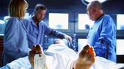 Ist der Transsexuelle Opfer eines Sexualmörders geworden? Catherine (Marg Helgenberger), Gil (William Petersen, 2.v.li.) und Dr. Robbins (Robert David Hall) ermitteln.