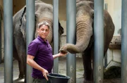 Cheftierpfleger Conny Weidner (Thorsten Wolf) füttert die Dickhäuter des Leipziger Zoos. Aber Elefantenkuh Najuma hat keinen Appetit und zeigt aggressives Verhalten. Kann Conny ihr helfen?