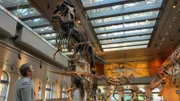 Anna und Paläontologe Nate vor dem Skelett eines Tyrannosaurus Rex.
