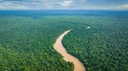 In Peru liegt eine der artenreichsten Regionen der Welt, wo die Anden enden und das Amazonasbecken beginnt. Der peruanische Teil des Amazonas-Regenwaldes ist ein wichtiges Rückzugsgebiet für bedrohte Tierarten.