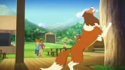 Lassie hat eine heiße Spur, wer die Gegenstände gestohlen haben könnte, und macht Zoé und Harvey darauf aufmerksam.