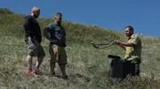 Ryan reveals Greg and Chris his captured rattlesnake from the case that was built for him moments before setting it free.