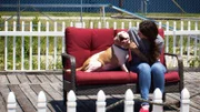 Tia und Country Matt schließen sich zusammen, um einen angeblich aggressiven Hund zu retten