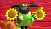 Timmy