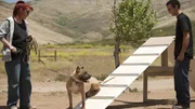 Tia Maria Torres talks with her adopted son Kinani about dog training before having Johnny Danger, a rescue pit bull, check out the a-frame that Kinani built as part of an agility training and confidence building exercise at Torres' Villalobos Rescue Center.