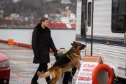 Detective Charlie Hudson (John Reardon) und Rex (Diesel vom Burgimwald)