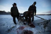 Ray Lewis, Sarah Lewis and Molly Lewis retrieve beaver trapping from river.