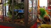 Corinne getting a closer look at all the details in the Comic Store build.