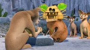 King Julien verkleidet sich als Fossa, um sich unbemerkt in ihr Lager zu schleichen.