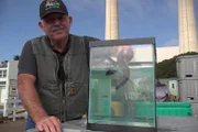 Mark Tognazzini demonstrating how when hag fish feel threatened, they produce slime to protect themselves.