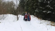 Das Rentiergeweih 3