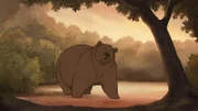 Der Bär ist groß und stark! Alle haben Angst vor ihm. Immer! Kaum zu glauben, dass seine Welt bald Kopf stehen könnte.