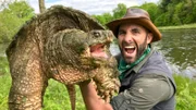 Coyote holds up a common snapping turtle.