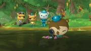 (V.li.) Calico Jack, Kwasi, Käptn Barnius und Sebastian entdecken eine unbekannte Art von Fischen.
