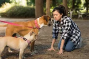 Kyra (Kimie Tsukakoshi) kann es nicht fassen. Sie kann plötzlich die Gedanken der Boxerhündin Doris hören.