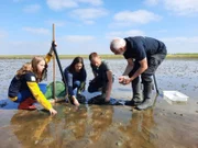 Esbjerg/Dänemark. Ausflug ins Wattenmeer mit den Passagieren Lukas Haas und Vanessa Buchholz mit Guide Klaus Melbye und der deutschen FSJlerin Isabelle Limberger.