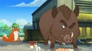 Essensreste aus den Müllcontainern rund um das Trafohäuschen der Stadt Müggeldorf locken die Wildtiere an. So auch Fuchs Iwo (h.) und Wildschwein Grrmpf. Doch wirklich fündig werden sie nicht.