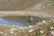 Wide-shot of Bear Grylls parachuting into mountain lake.