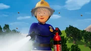 Penny sorgt für die Sicherheit aller, auch für die der Bienen.