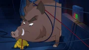 Wie sollen sich Schildkröte Törtel (u.) und Wildschwein Grrmpf aus dieser brenzligen Lage, umgeben von Kabeln und Elektrizität, nur befreien?