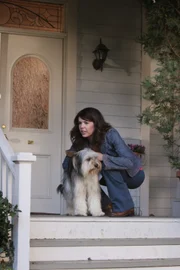Noch kein eingespieltes Team: Lorelai (Lauren Graham) und Paul Anker ...