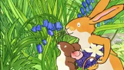 Mit seiner Freundin, der kleinen Feldmaus, begibt sich kleiner brauner Hase auf die Suche nach dem Duft und sie finden herrlich duftende Blumen auf der Wiese.