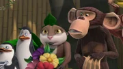 L-R: Private, Kowalski, Marlene, Phil