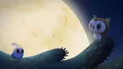 Die Camperchen lernen alles Wichtige über den Mond.