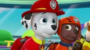 L-R: Marshall, Zuma