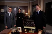 LAW & ORDER -- "Brilliant Disguise" Episode 2015 -- Pictured: (l-r) Linus Roache als Executive A.D.A Michael Cutter, Alana De La Garza als A.D.A Connie Rubirosa, Timothy Busfield als Ray Backlund.