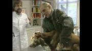 Auch Hunde brauchen Ärzte.