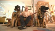 Familie Scherpenstein aus Kerpen mit den beiden Leonbergern Bero und Buster. Die Verwendung des sendungsbezogenen Materials ist nur mit dem Hinweis und Verlinkung auf RTL+ gestattet.