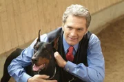 Schmidt (Walter Sittler) hat einen Partner, der ihm bedingungslos folgt: Ein Dobermann Cäsar von Adelmann.