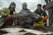 Jeremy Wade (m.)