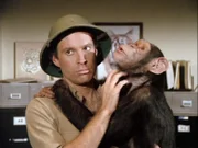 Das A-Team (Bild: Dwight Schultz als Murdock) ist nach Kenia gekommen, um die Tiere vor Wilderern zu schützen...