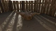 3D-Animation, die eine Rekonstruktion von Seahenge mit einem umgedrehten Eichenstumpf in seinem Zentrum zeigt