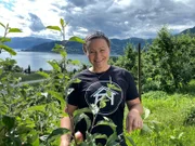 Die Hänge am Hardangerfjord sind der Obstgarten Norwegens.