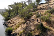 Das Drama der Noongar in Australien ist ein Echo des Traumas vieler anderer Aborigine-Völker.