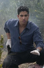 Eric Delko (Adam Rodriguez) untersucht in den Everglades einen Tatort, als plötzlich ein Buschfeuer ausbricht ...