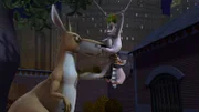 L-R: Joey, King Julien, Skipper