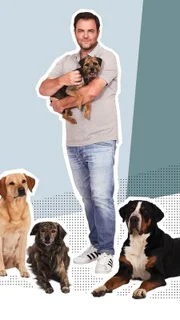 Hundeprofi Martin Rütter